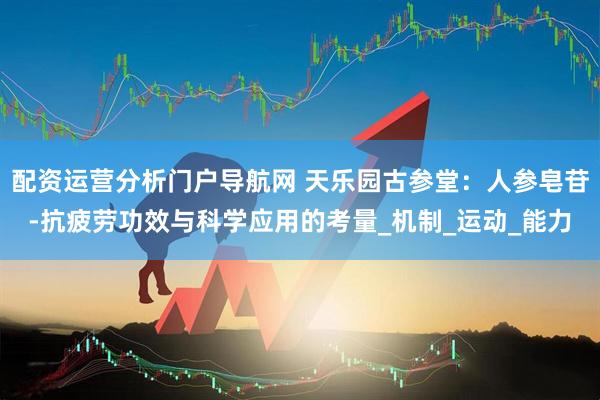 配资运营分析门户导航网 天乐园古参堂：人参皂苷-抗疲劳功效与科学应用的考量_机制_运动_能力