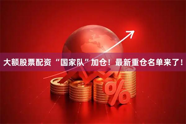 大额股票配资 “国家队”加仓！最新重仓名单来了！